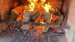 Welche Holzarten sollten zu Hause nicht verbrannt werden: Diese Holzarten geben keine Wärme ab